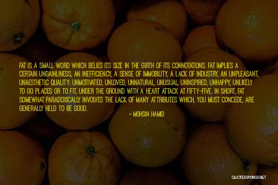 Mohsin Hamid Quotes 951495