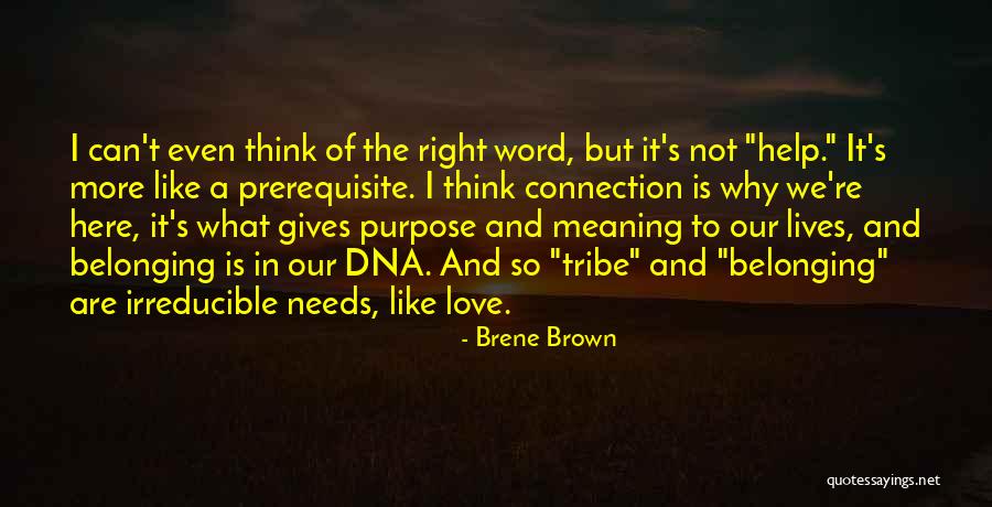 Moira Rose Alexis Quotes By Brene Brown Moira Rose Alexis Quotes By Brene Brown