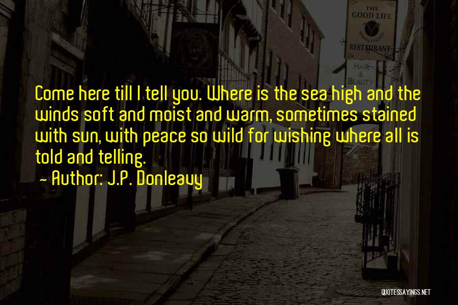 Moist Quotes By J.P. Donleavy