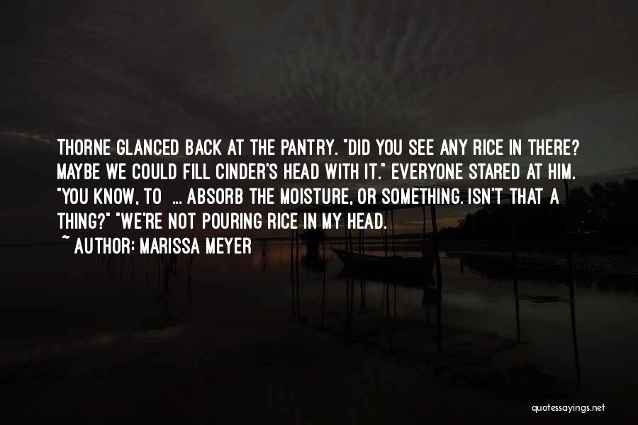 Moisture Quotes By Marissa Meyer