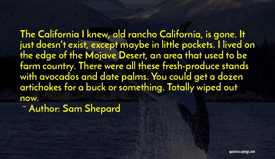 Mojave Desert Quotes By Sam Shepard