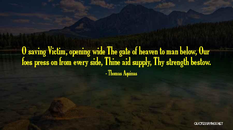 Mojca Erdmann Quotes By Thomas Aquinas Mojca Erdmann Quotes By Thomas Aquinas