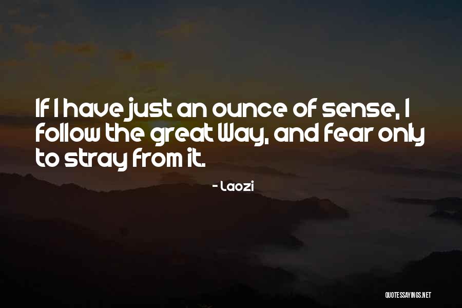 Mojic Bijeljina Quotes By Laozi Mojic Bijeljina Quotes By Laozi