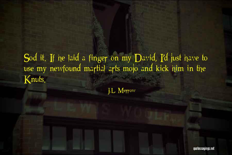 Mojo Quotes By J.L. Merrow