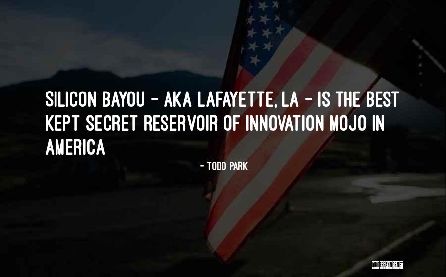 Mojo Quotes By Todd Park