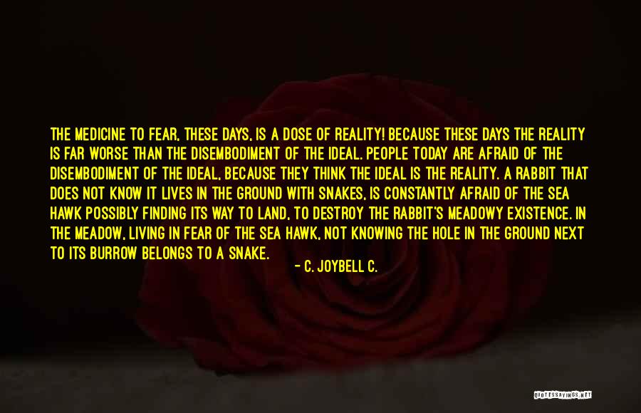 Mokate Rugby Quotes By C. JoyBell C. Mokate Rugby Quotes By C. JoyBell C.