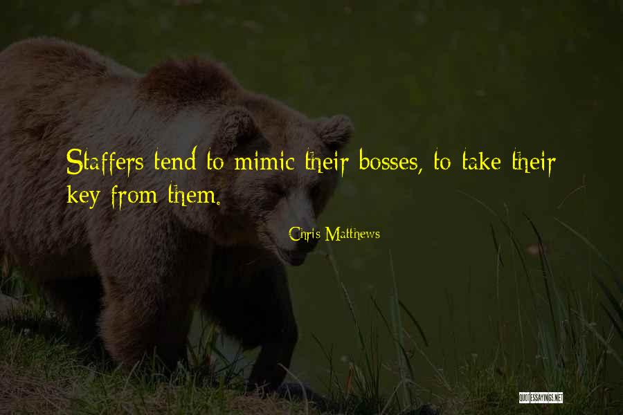 Mokhtari Boxing Quotes By Chris Matthews