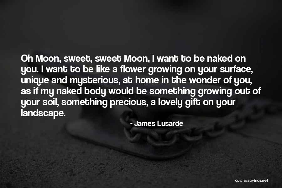 Molbertas Quotes By James Lusarde Molbertas Quotes By James Lusarde