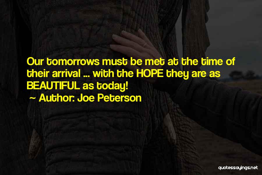 Moldeador Quotes By Joe Peterson