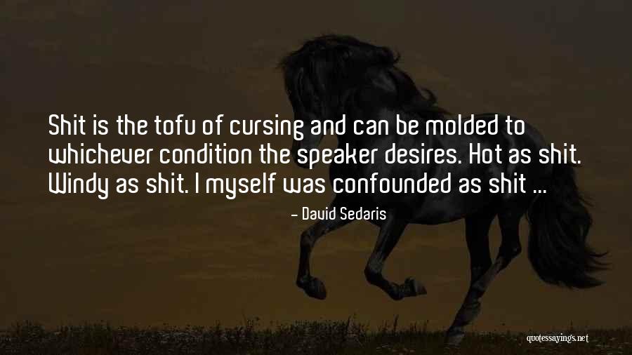 Molded Quotes By David Sedaris