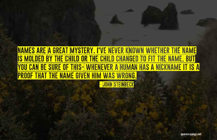 Molded Quotes By John Steinbeck