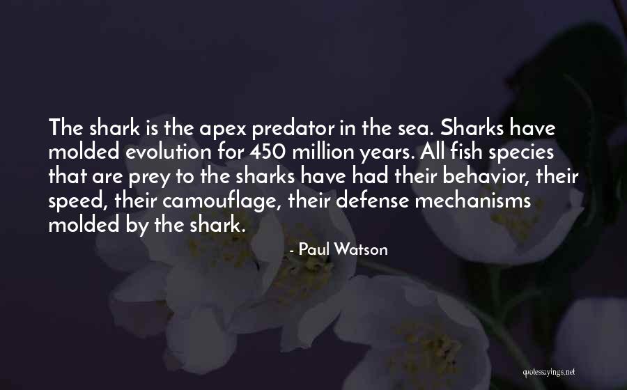 Molded Quotes By Paul Watson