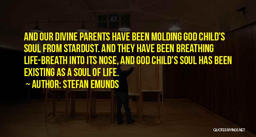 Molding A Child Quotes By Stefan Emunds