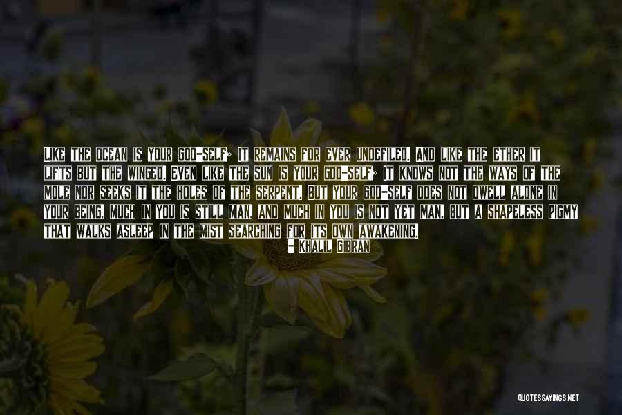 Mole Quotes By Khalil Gibran Mole Quotes By Khalil Gibran
