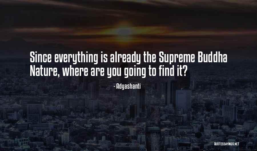 Molecola Glucosio Quotes By Adyashanti Molecola Glucosio Quotes By Adyashanti