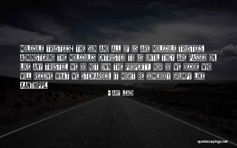 Molecule Of More Quotes By Amy Leach Molecule Of More Quotes By Amy Leach