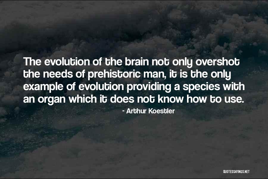 Molek In The Bible Quotes By Arthur Koestler Molek In The Bible Quotes By Arthur Koestler