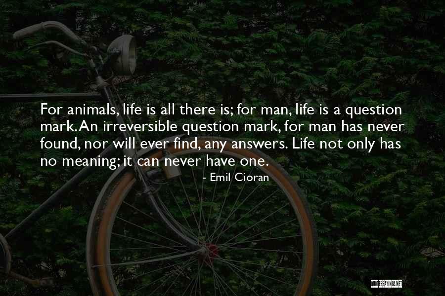 Molests Quotes By Emil Cioran Molests Quotes By Emil Cioran