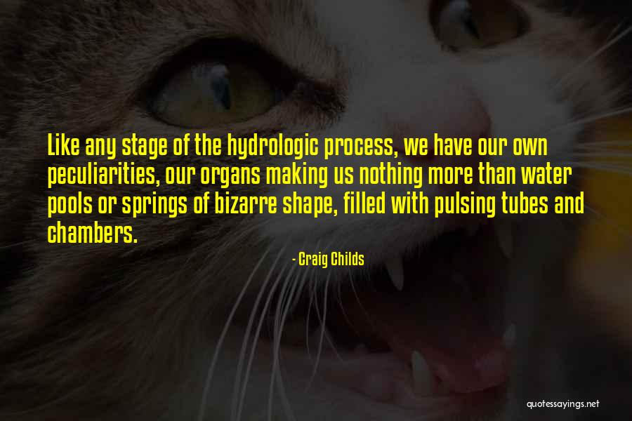 Molfino Hnos Quotes By Craig Childs Molfino Hnos Quotes By Craig Childs
