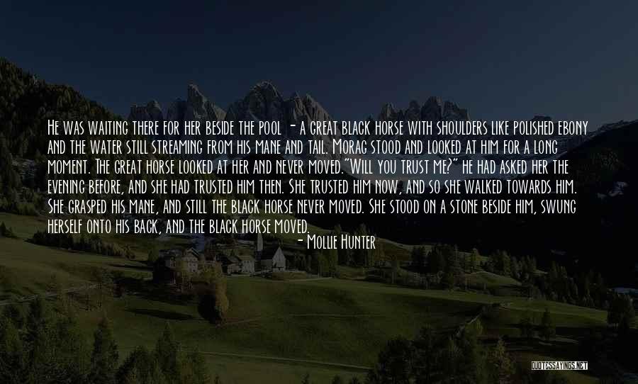 Mollie Hunter Quotes 476486 Mollie Hunter Quotes 476486