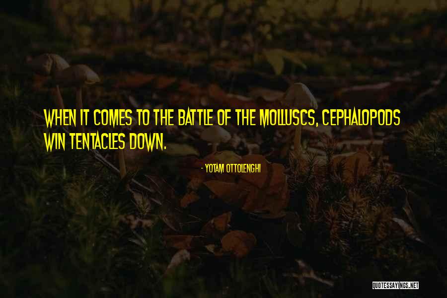 Molluscs Quotes By Yotam Ottolenghi Molluscs Quotes By Yotam Ottolenghi