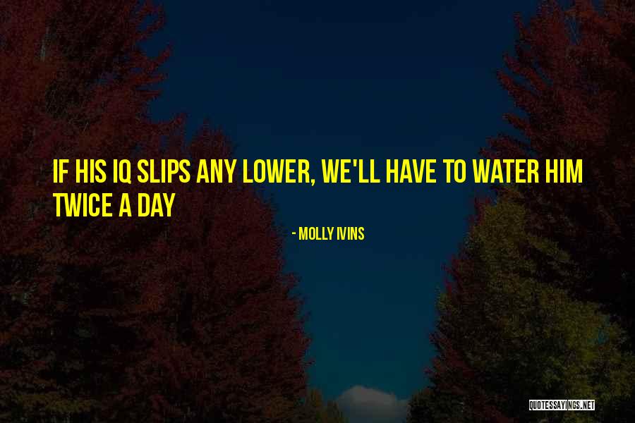 Molly Ivins Quotes 2022054 Molly Ivins Quotes 2022054