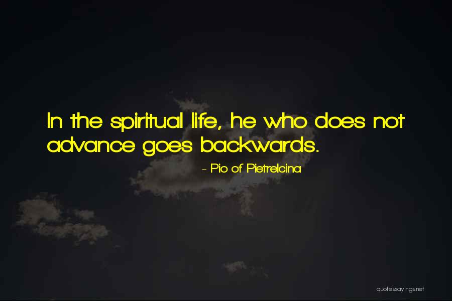 Molly Lee Quotes By Pio Of Pietrelcina Molly Lee Quotes By Pio Of Pietrelcina