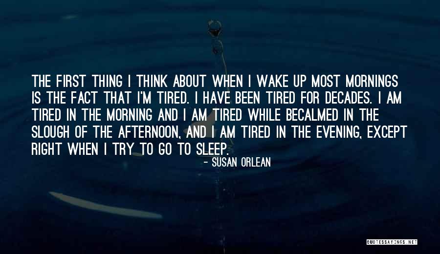 Mollywood Costa Quotes By Susan Orlean Mollywood Costa Quotes By Susan Orlean