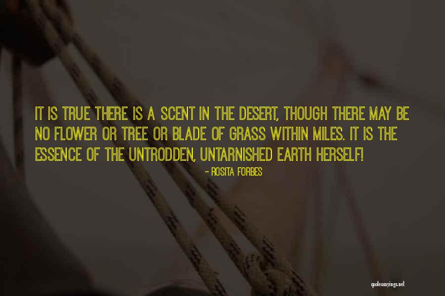 Molokani Quotes By Rosita Forbes Molokani Quotes By Rosita Forbes