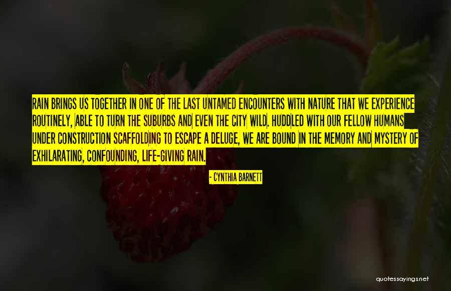 Moloughneys Restaurant Quotes By Cynthia Barnett Moloughneys Restaurant Quotes By Cynthia Barnett