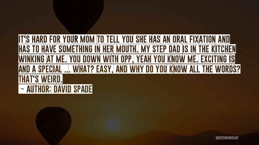 Mom Dad And Me Quotes By David Spade