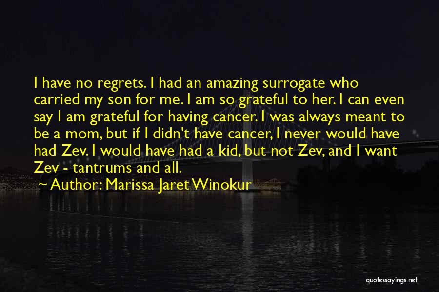 Mom From Son Quotes By Marissa Jaret Winokur