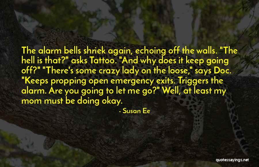 Mom Going Crazy Quotes By Susan Ee