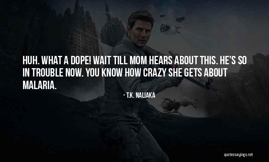 Mom Going Crazy Quotes By T.K. Naliaka