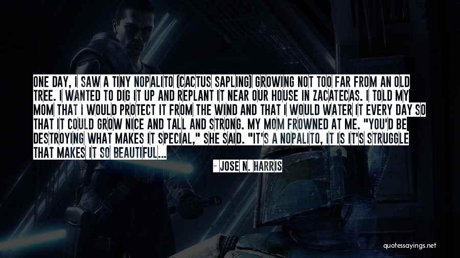Mom To Be Strong Quotes By Jose N. Harris