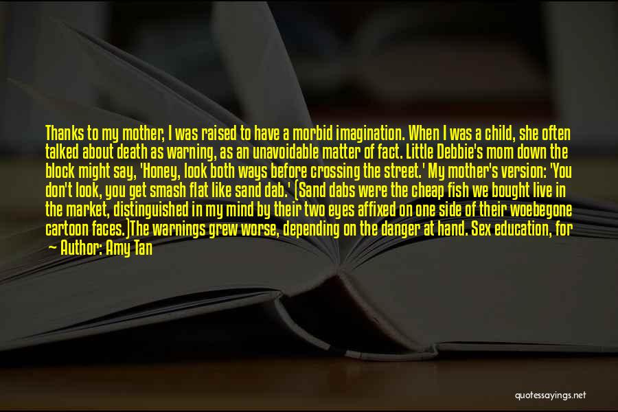 Mom To Boy Quotes By Amy Tan