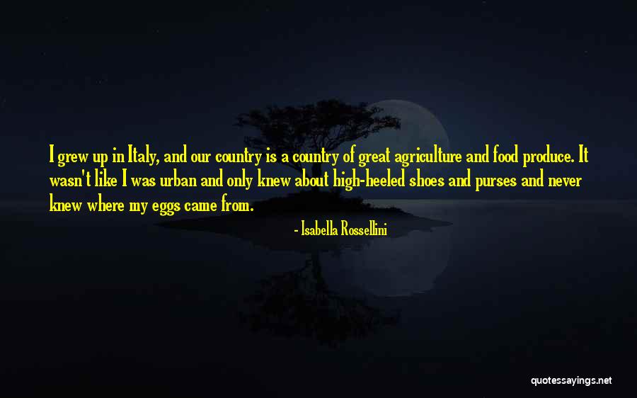 Mombers Quotes By Isabella Rossellini Mombers Quotes By Isabella Rossellini