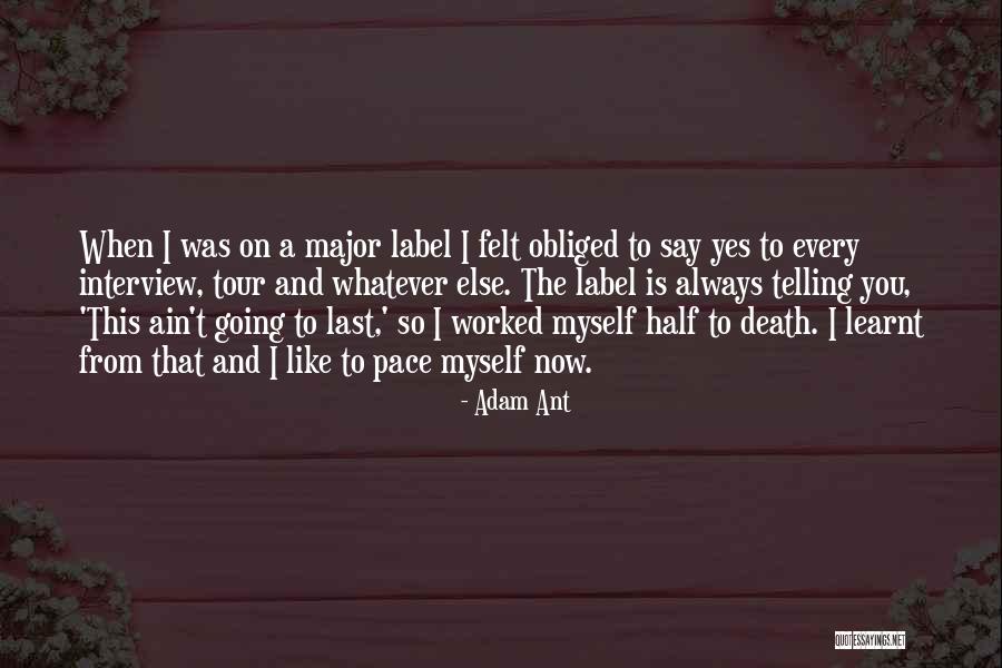 Momcilo Djujic Quotes By Adam Ant Momcilo Djujic Quotes By Adam Ant