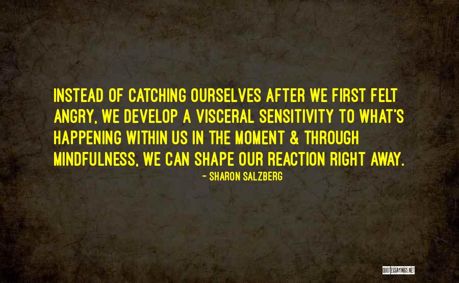 Moment Of Anger Quotes By Sharon Salzberg Moment Of Anger Quotes By Sharon Salzberg