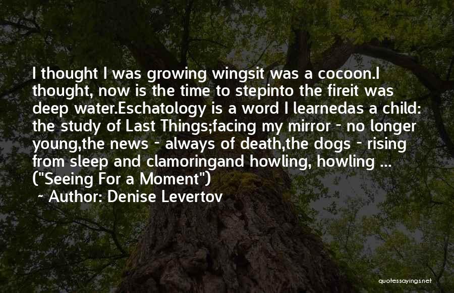 Moment Of Death Quotes By Denise Levertov