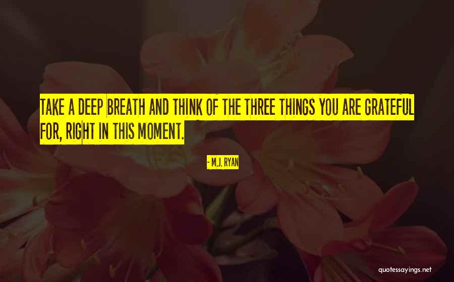 Moment Of Gratitude Quotes By M.J. Ryan Moment Of Gratitude Quotes By M.J. Ryan