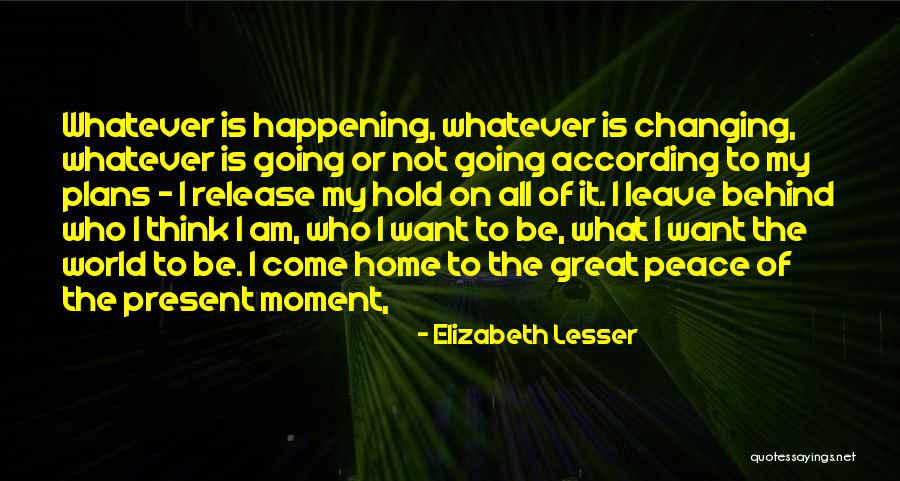 Moment Of Peace Quotes By Elizabeth Lesser