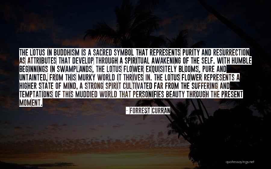 Moment Of Peace Quotes By Forrest Curran