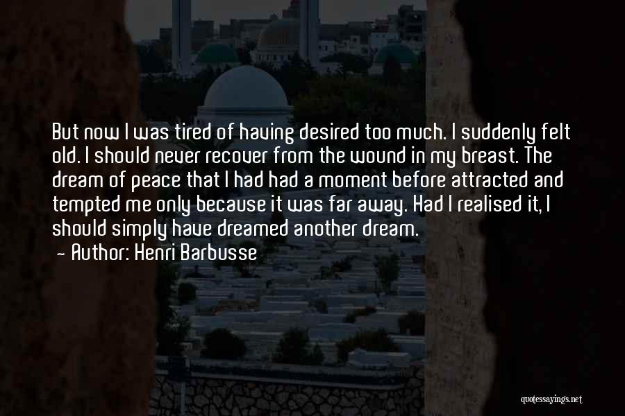 Moment Of Peace Quotes By Henri Barbusse