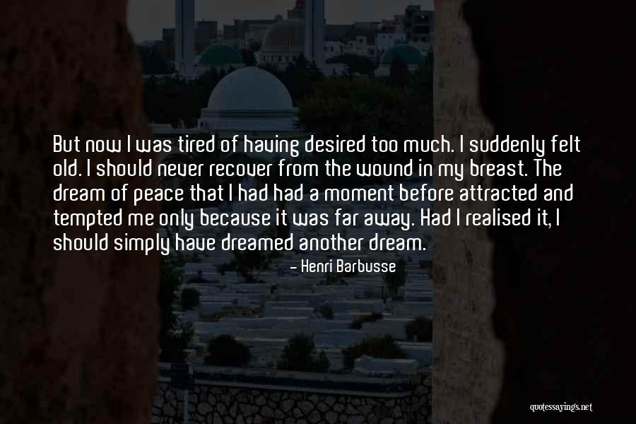 Moment Of Peace Quotes By Henri Barbusse