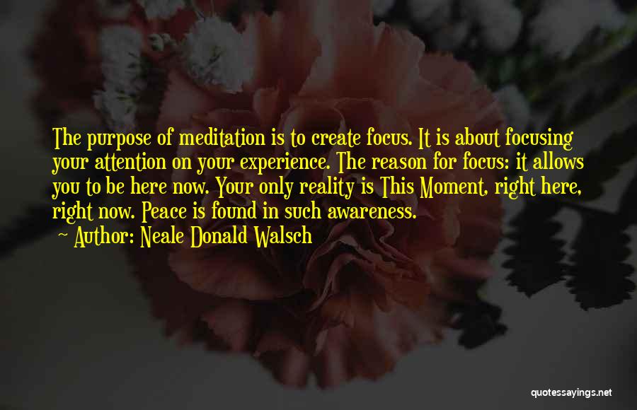Moment Of Peace Quotes By Neale Donald Walsch