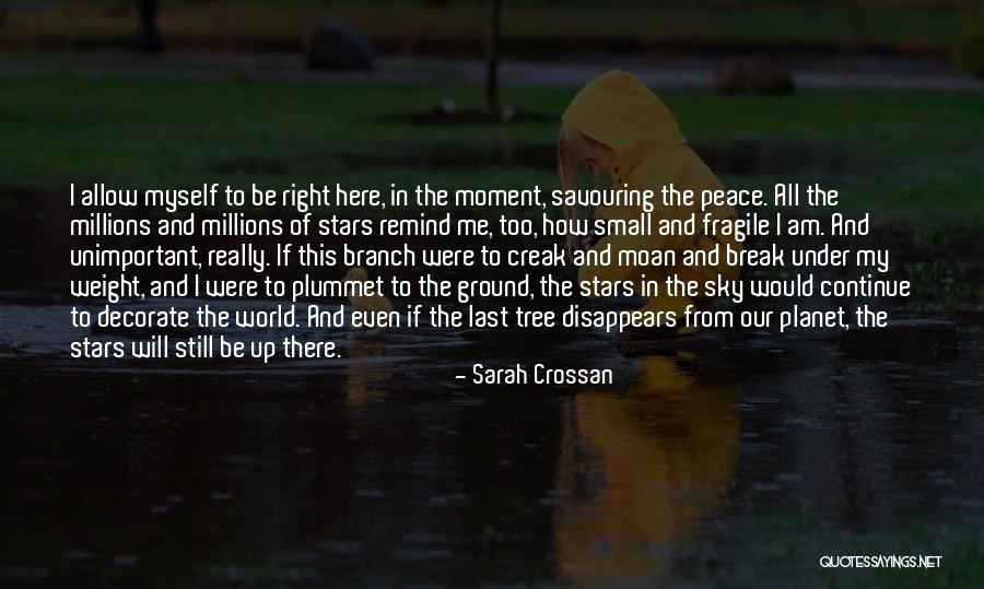 Moment Of Peace Quotes By Sarah Crossan