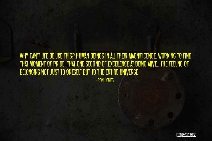 Moment Of Pride Quotes By Ron Jones Moment Of Pride Quotes By Ron Jones