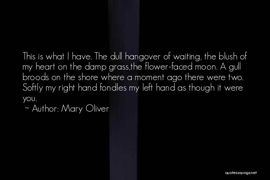 Moment Of Quotes By Mary Oliver