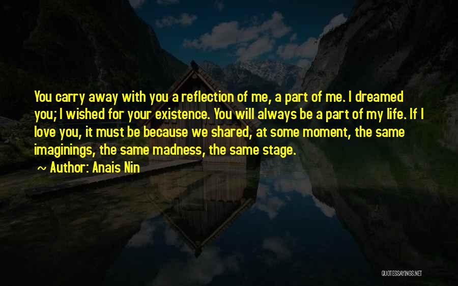 Moment Of Reflection Quotes By Anais Nin